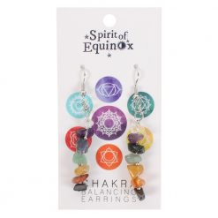 Chipstone chakra earrings with 7 colours of gemstones